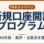GMO外貨の新規口座開設プログラム（最大100万円）条件整理｜終了日未公表